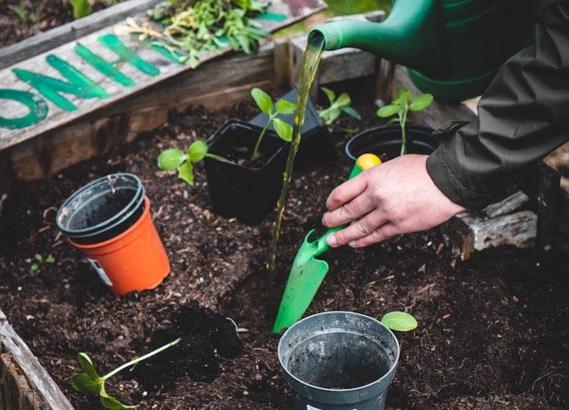 person holding green plastic shovel